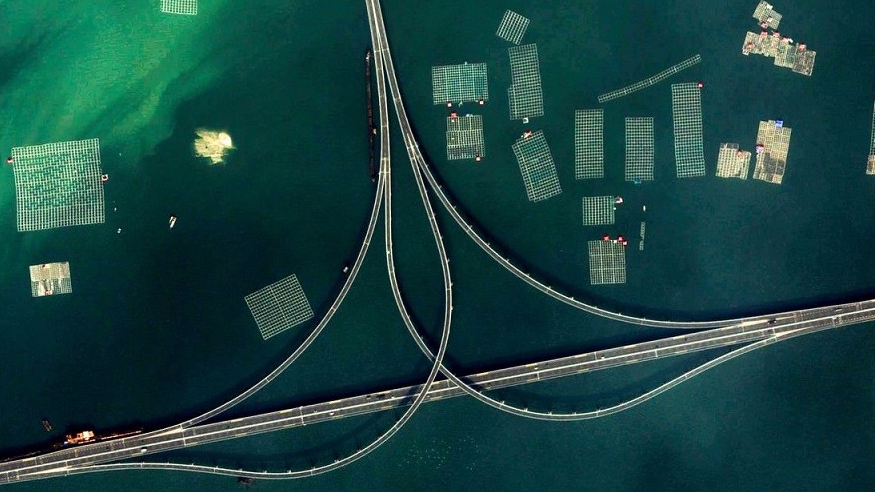 3D Printer in Action